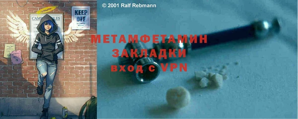 индика Краснослободск