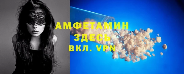 индика Краснослободск