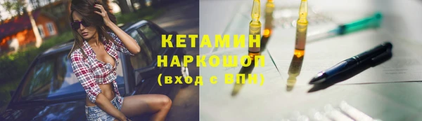 индика Краснослободск