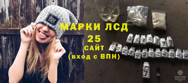 индика Краснослободск