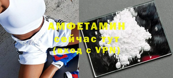 индика Краснослободск