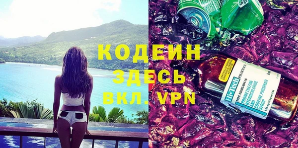 индика Краснослободск