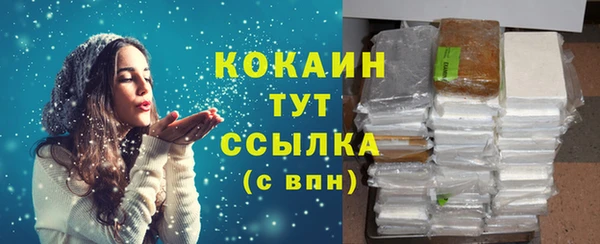 индика Краснослободск