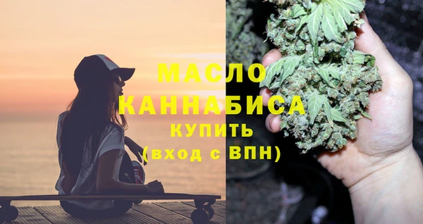 индика Краснослободск