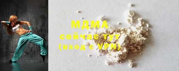 индика Краснослободск
