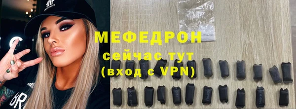 индика Краснослободск