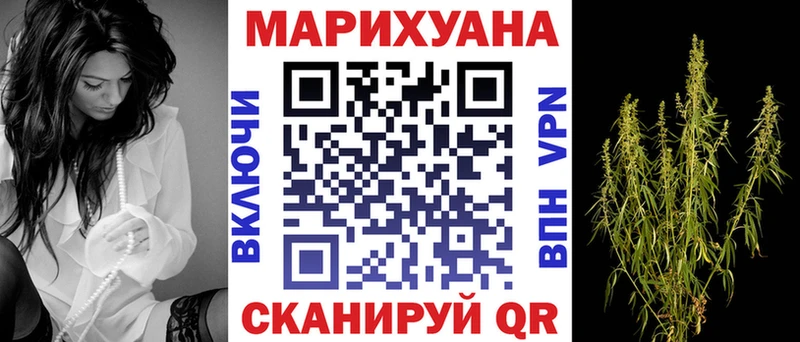 Каннабис индика  Шиханы 